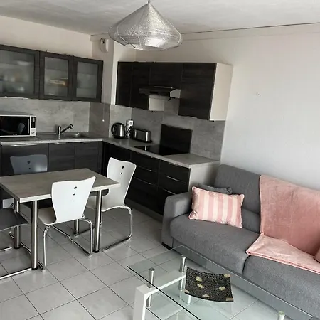 Appartement Mandelieu 公寓 *